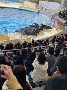 マリンワールド海の中道に投稿された画像（2024/3/11）