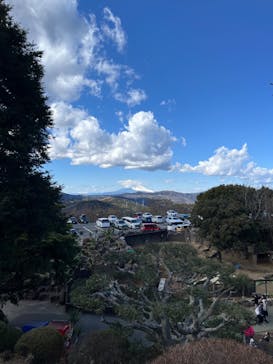 伊豆シャボテン動物公園に投稿された画像（2024/3/12）