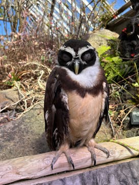 伊豆シャボテン動物公園に投稿された画像（2024/3/12）