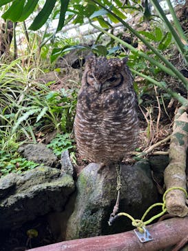 伊豆シャボテン動物公園に投稿された画像（2024/3/12）