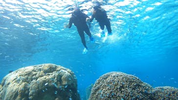 宮古島 ADVENTURE PiPi（ミヤコジマ アドベンチャー ピピ）に投稿された画像（2024/3/12）