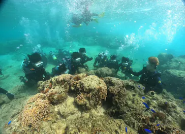 武藤潜水に投稿された画像（2024/3/12）