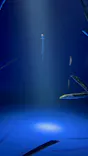 サンシャイン水族館に投稿された画像（2024/3/12）
