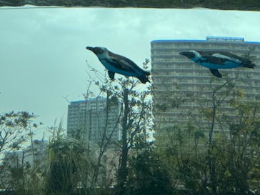 サンシャイン水族館に投稿された画像（2024/3/12）