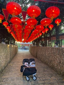 体験王国 むら咲むらに投稿された画像（2024/3/12）