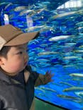 アクアワールド茨城県大洗水族館に投稿された画像（2024/3/12）