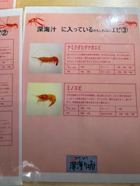 サンシャイン水族館に投稿された画像（2024/3/12）