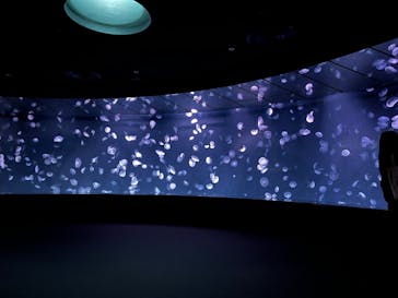 サンシャイン水族館に投稿された画像（2024/3/12）