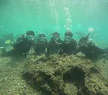 沖縄マリンサービス碧に投稿された画像（2024/3/12）