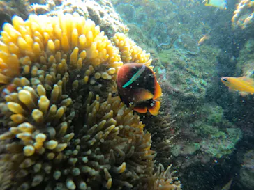 武藤潜水に投稿された画像（2024/3/12）