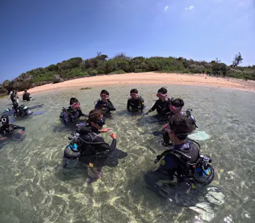 武藤潜水に投稿された画像（2024/3/12）