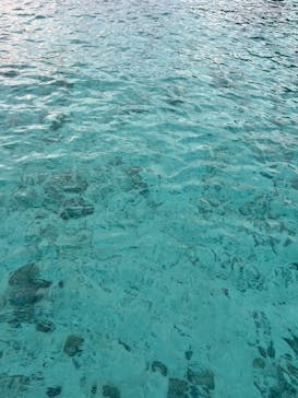 宮古島 ADVENTURE PiPi（ミヤコジマ アドベンチャー ピピ）に投稿された画像（2024/3/12）