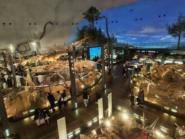 福井県立恐竜博物館に投稿された画像（2024/3/12）