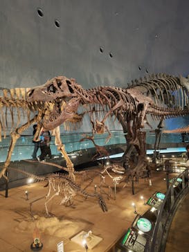 福井県立恐竜博物館に投稿された画像（2024/3/12）