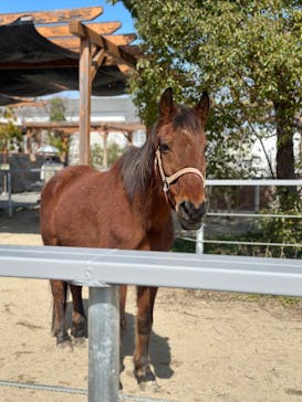 神戸どうぶつ王国に投稿された画像（2024/3/12）