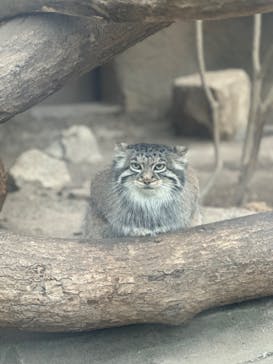 神戸どうぶつ王国に投稿された画像（2024/3/12）