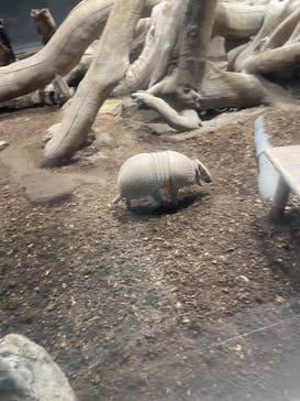 カワスイ 川崎⽔族館に投稿された画像（2024/3/12）