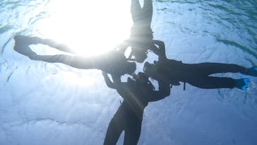 宮古島 ADVENTURE PiPi（ミヤコジマ アドベンチャー ピピ）に投稿された画像（2024/3/12）