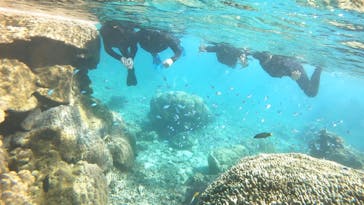 宮古島 ADVENTURE PiPi（ミヤコジマ アドベンチャー ピピ）に投稿された画像（2024/3/12）