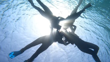 宮古島 ADVENTURE PiPi（ミヤコジマ アドベンチャー ピピ）に投稿された画像（2024/3/12）