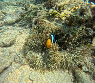 沖縄マリンサービス碧に投稿された画像（2024/3/12）