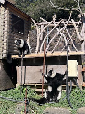 伊豆シャボテン動物公園に投稿された画像（2024/3/12）