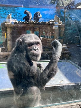 伊豆シャボテン動物公園に投稿された画像（2024/3/12）