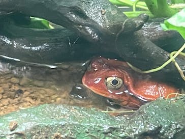 サンシャイン水族館に投稿された画像（2024/3/12）