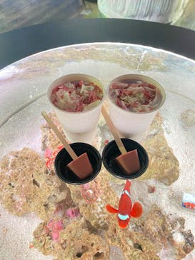 マクセル アクアパーク品川に投稿された画像（2024/3/12）