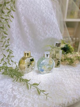 ずこうしつ〜sugamo〜に投稿された画像（2024/3/12）