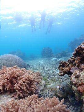 宮古島マリン GB QUESTに投稿された画像（2024/3/12）