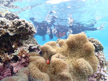 宮古島マリン GB QUESTに投稿された画像（2024/3/12）