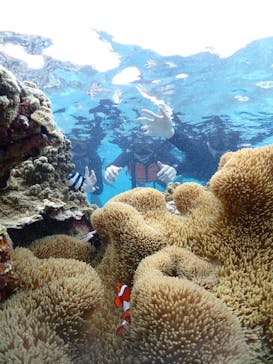 宮古島マリン GB QUESTに投稿された画像（2024/3/12）