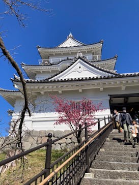 小田原城に投稿された画像（2024/3/12）