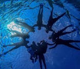 宮古島 ADVENTURE PiPi（ミヤコジマ アドベンチャー ピピ）に投稿された画像（2024/3/12）