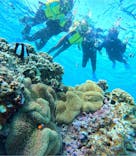 宮古島 ADVENTURE PiPi（ミヤコジマ アドベンチャー ピピ）に投稿された画像（2024/3/12）