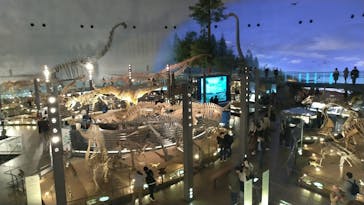 福井県立恐竜博物館に投稿された画像（2024/3/12）
