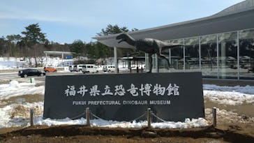 福井県立恐竜博物館に投稿された画像（2024/3/12）