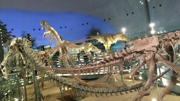 福井県立恐竜博物館に投稿された画像（2024/3/12）