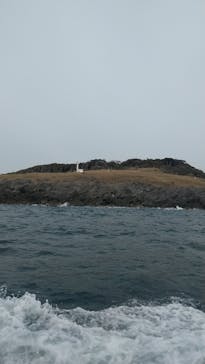 東尋坊観光遊覧船株式会社に投稿された画像（2024/3/12）