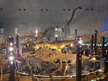 福井県立恐竜博物館に投稿された画像（2024/3/12）