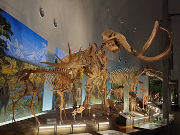 福井県立恐竜博物館に投稿された画像（2024/3/12）