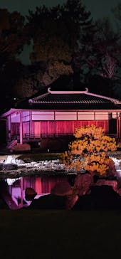 NAKED meets 二条城 2025 観月に投稿された画像（2024/3/12）