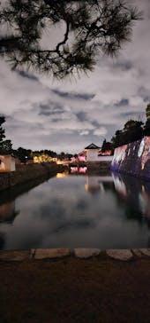 NAKED meets 二条城 2025 観月に投稿された画像（2024/3/12）