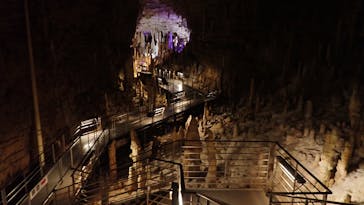 おきなわワールドに投稿された画像（2024/3/12）