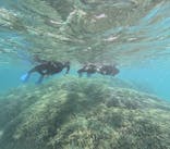 宮古島 ADVENTURE PiPi（ミヤコジマ アドベンチャー ピピ）に投稿された画像（2024/3/12）