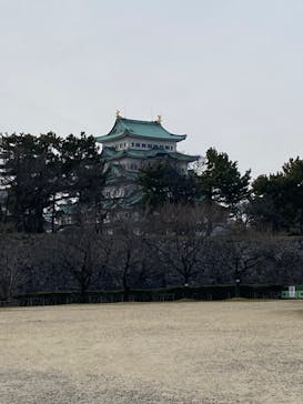 名古屋城に投稿された画像（2024/3/12）
