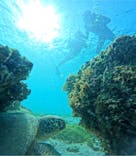 宮古島 ADVENTURE PiPi（ミヤコジマ アドベンチャー ピピ）に投稿された画像（2024/3/12）