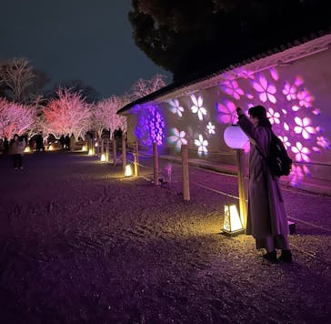 NAKED meets 二条城 2025 観月に投稿された画像（2024/3/12）