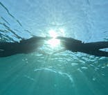 宮古島 ADVENTURE PiPi（ミヤコジマ アドベンチャー ピピ）に投稿された画像（2024/3/12）